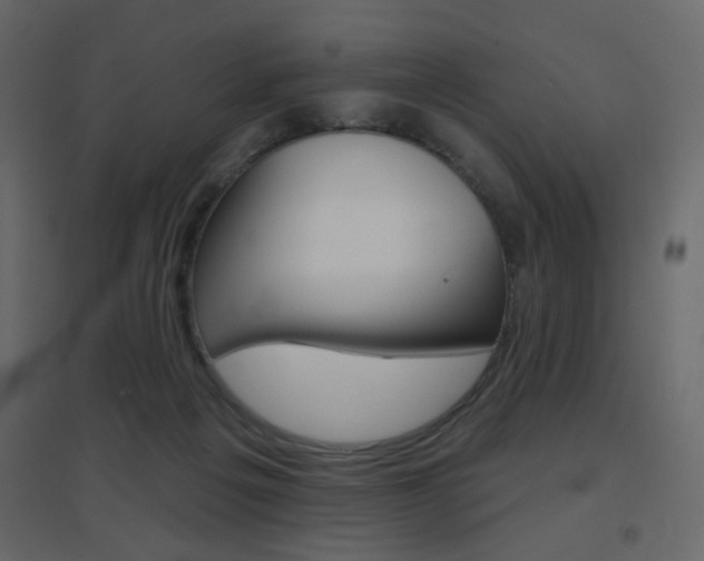 X0000096630217200802050942