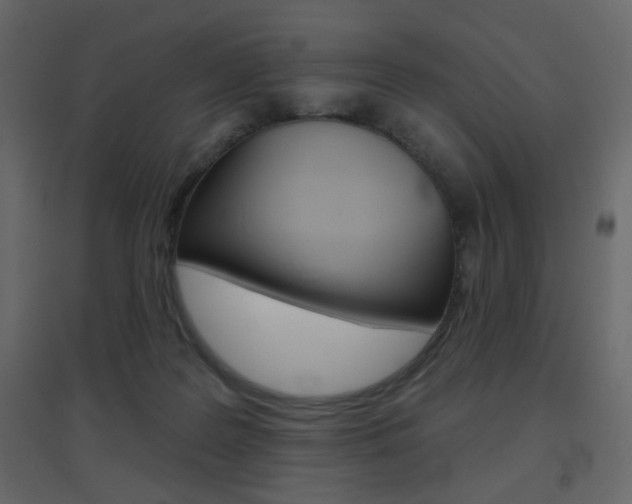 X0000096630219200802050942