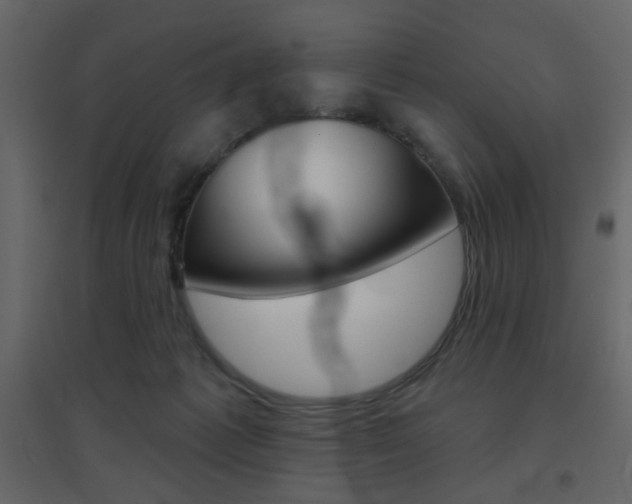 X0000096630221200802050942