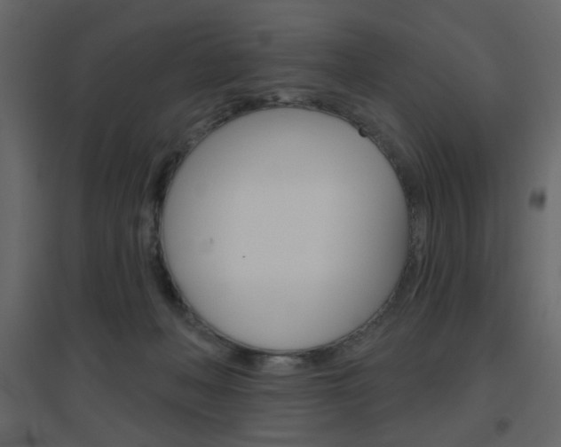 X0000096630222200802050942