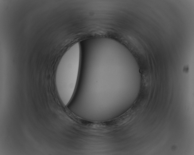 X0000096630223200802050942