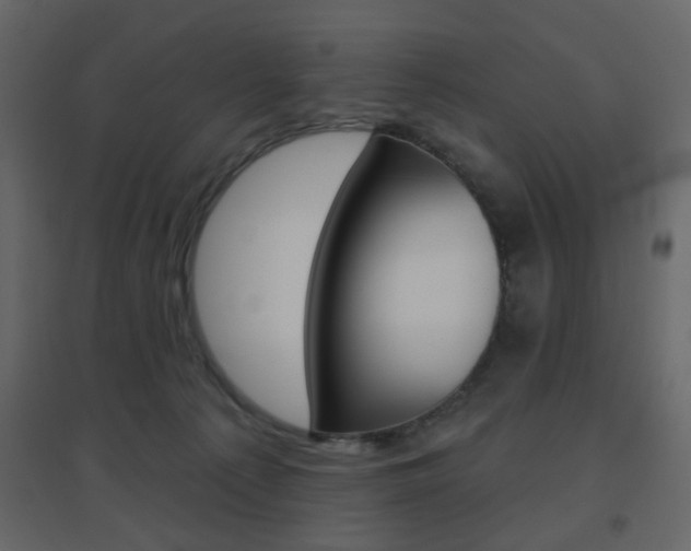 X0000096630225200802050942