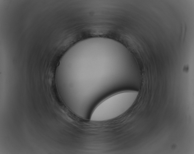 X0000096630227200802050942