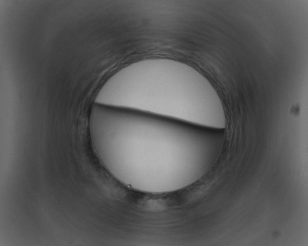 X0000096630228200802050942