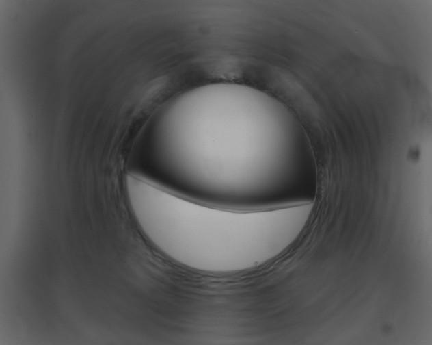 X0000096630229200802050942