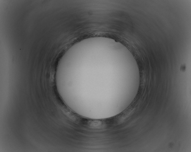 X0000096630230200802050942