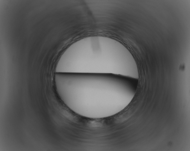 X0000096630232200802050942