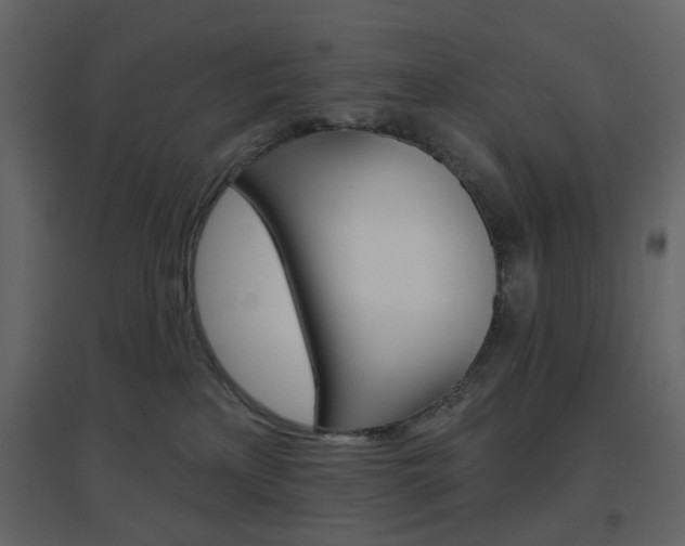 X0000096630233200802050942