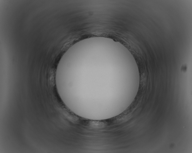 X0000096630234200802050942