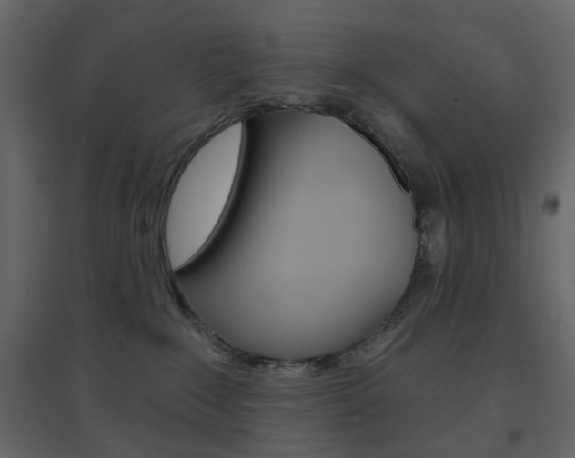 X0000096630235200802050942