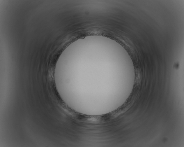 X0000096630236200802050942