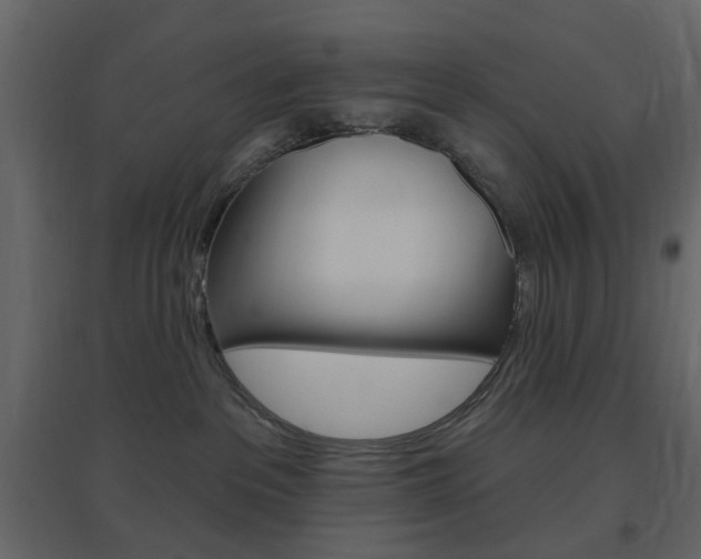 X0000096630237200802050942