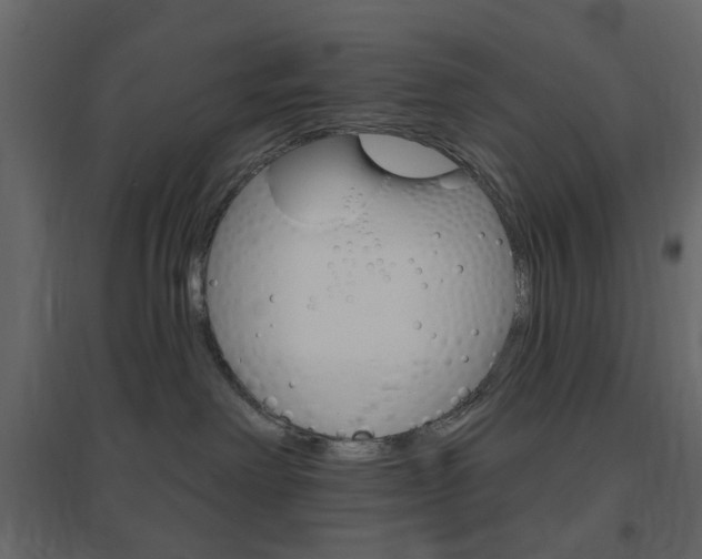 X0000096630238200802050942