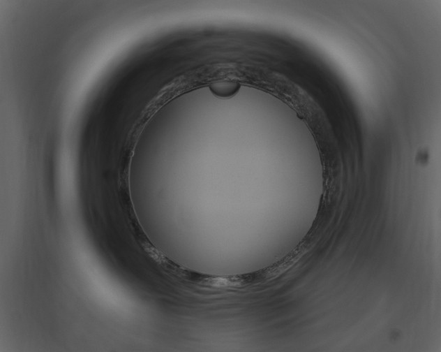 X0000096630239200802050942