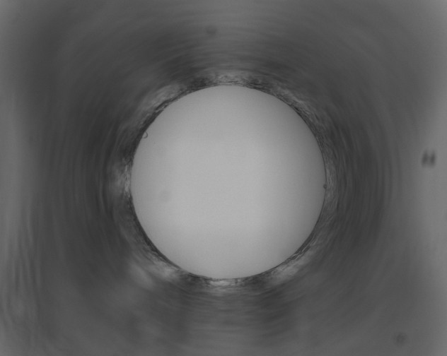 X0000096630240200802050942