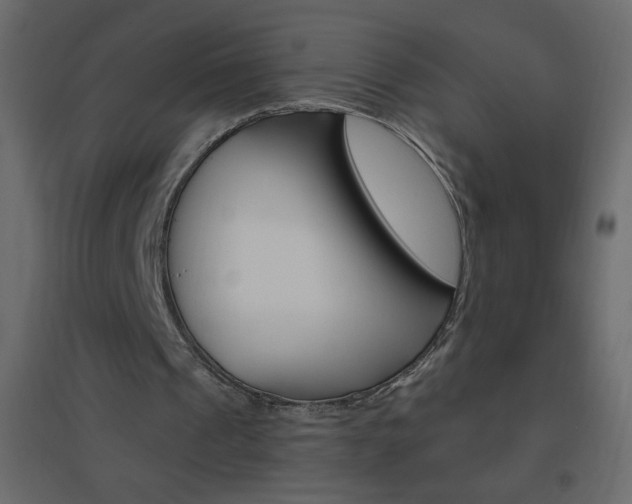 X0000096630241200802050941