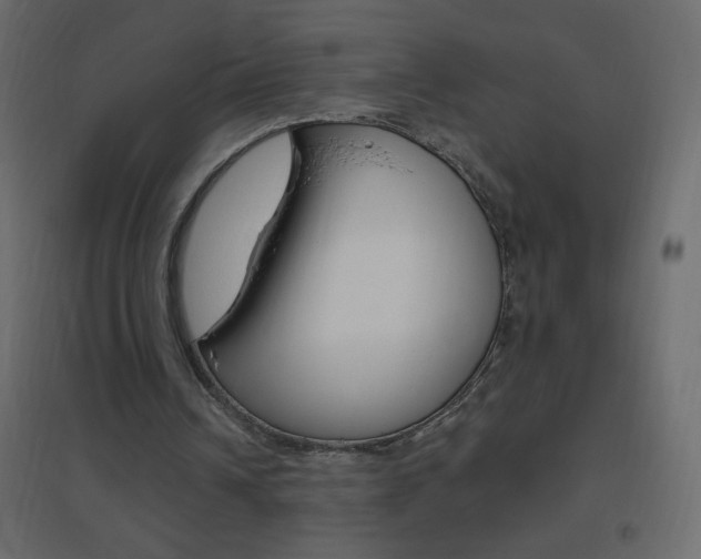 X0000096630242200802050941