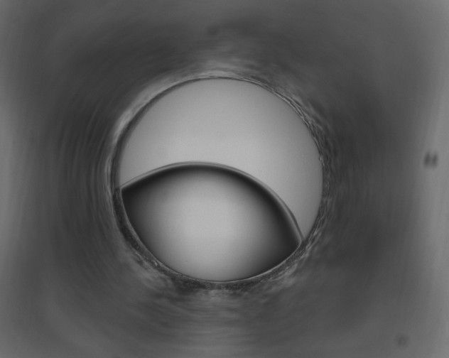 X0000096630244200802050941