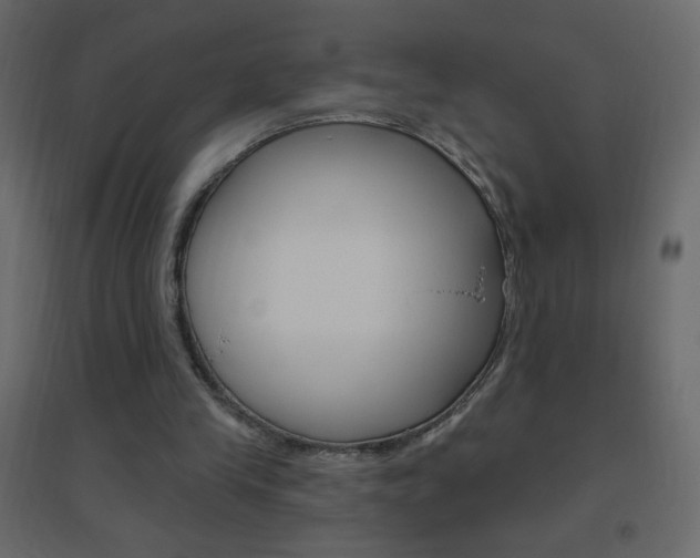 X0000096630245200802050941