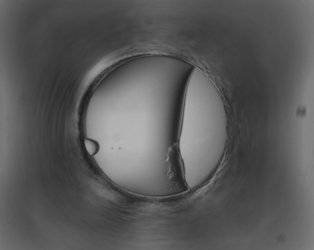 X0000096630246200802050941