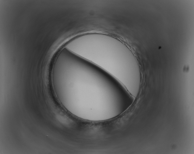 X0000096630247200802050941