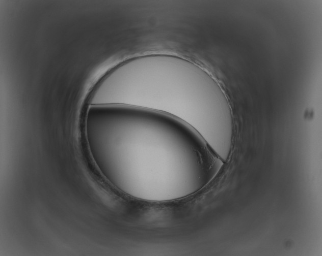 X0000096630248200802050941