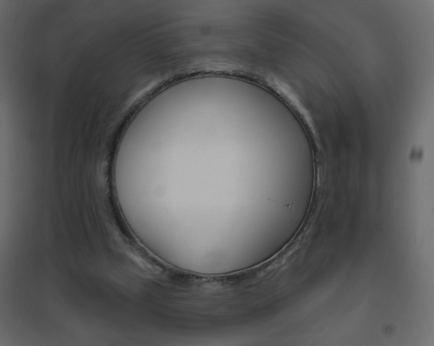 X0000096630249200802050941