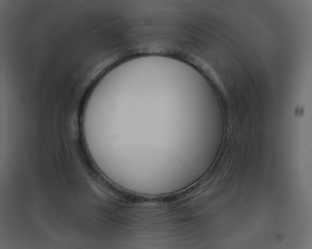 X0000096630251200802050941