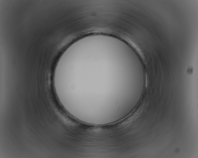 X0000096630253200802050941