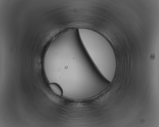 X0000096630254200802050941