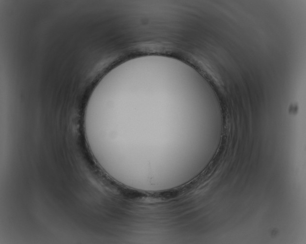 X0000096630255200802050941