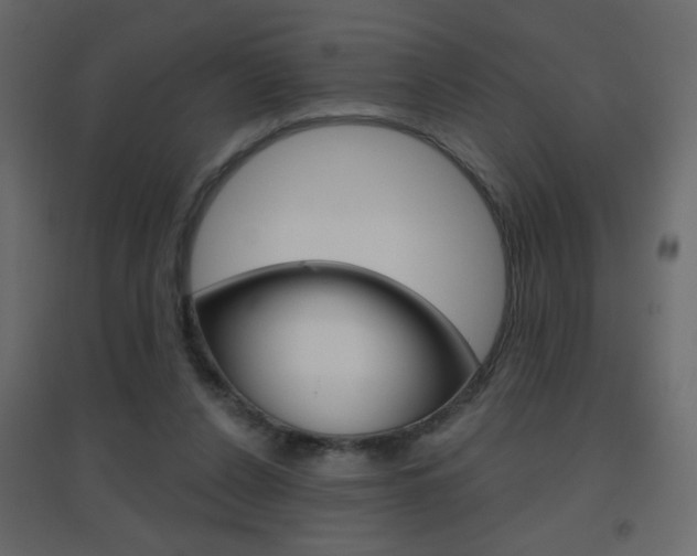 X0000096630256200802050941