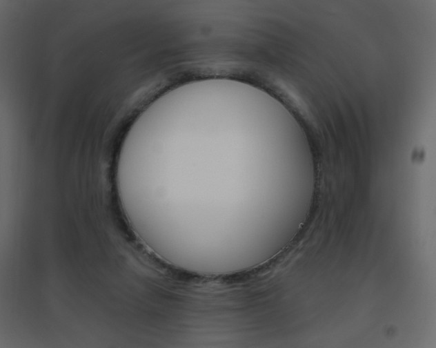 X0000096630258200802050941