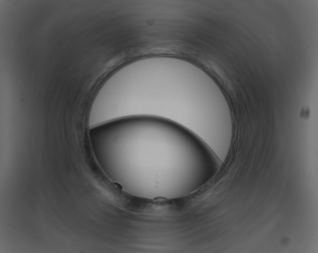 X0000096630260200802050941
