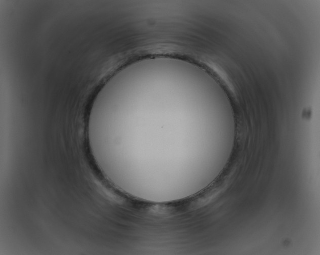 X0000096630261200802050941