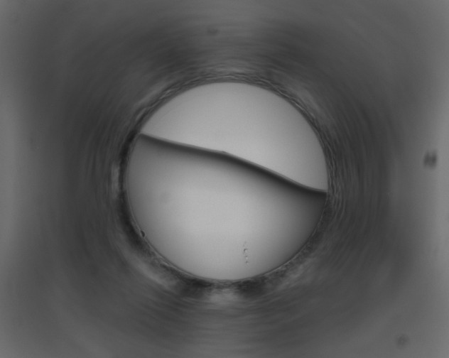 X0000096630262200802050941