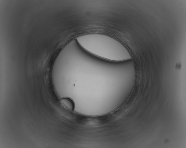 X0000096630263200802050941