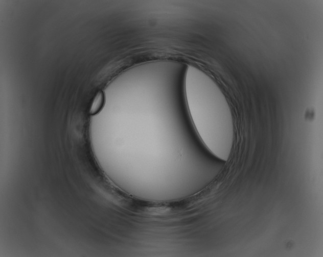 X0000096630266200802050941