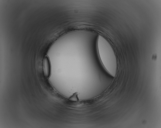 X0000096630267200802050941