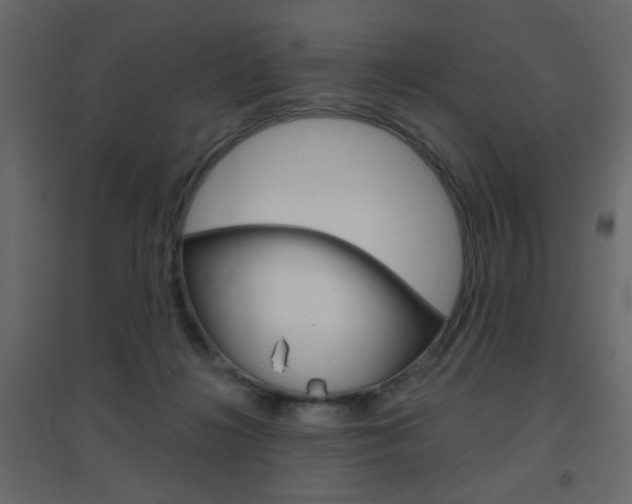 X0000096630268200802050941