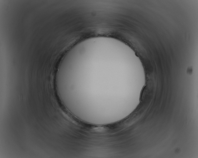 X0000096630269200802050941