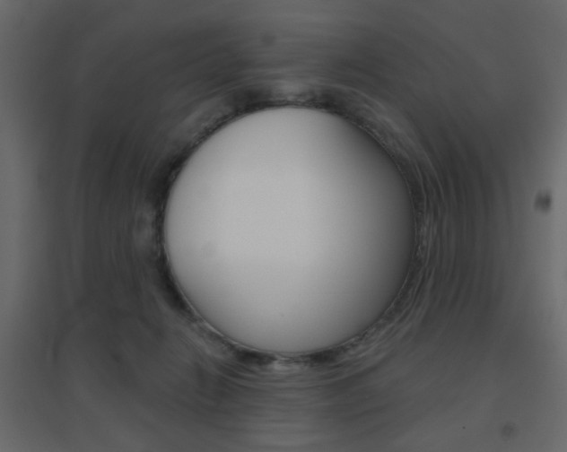 X0000096630270200802050941