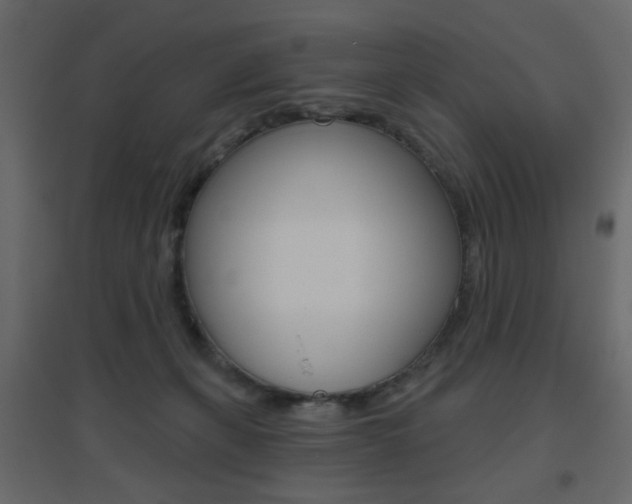 X0000096630271200802050941