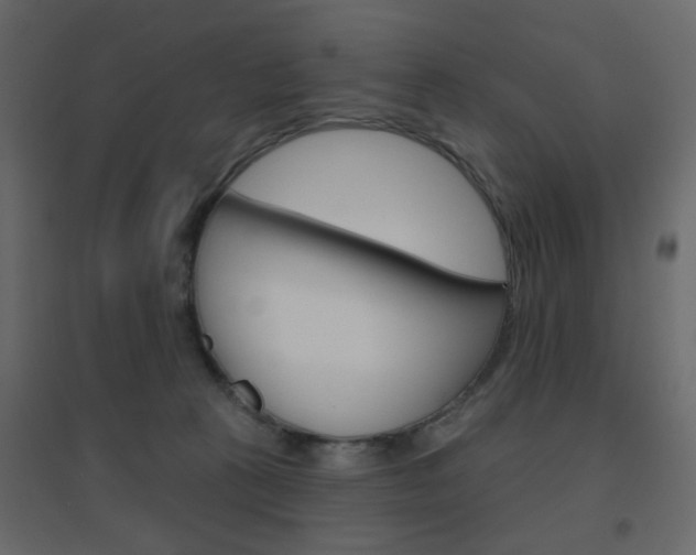 X0000096630273200802050941