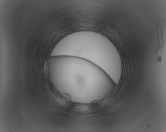 X0000096630276200802050941