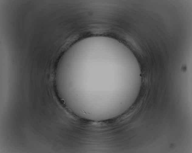 X0000096630277200802050941