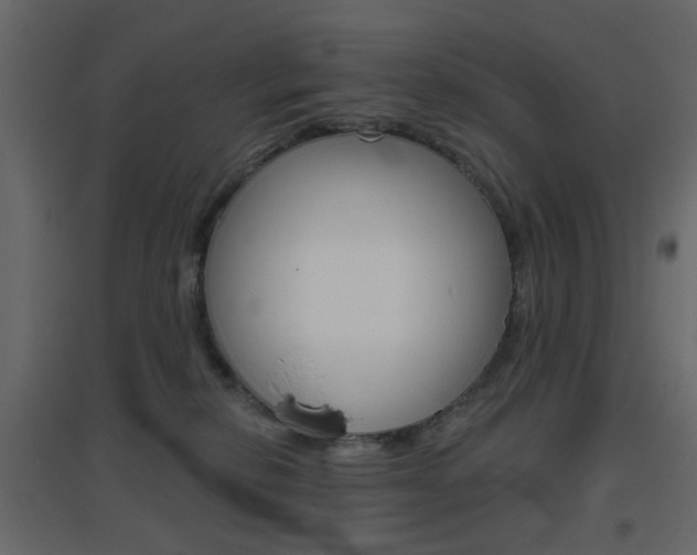 X0000096630278200802050941