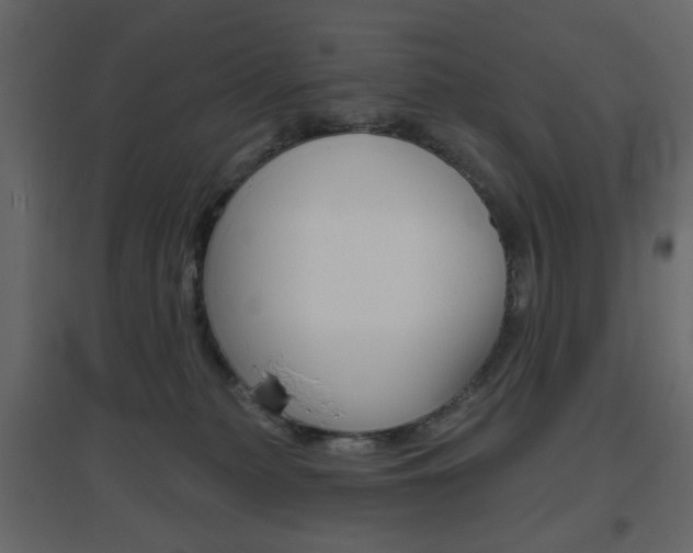 X0000096630279200802050941
