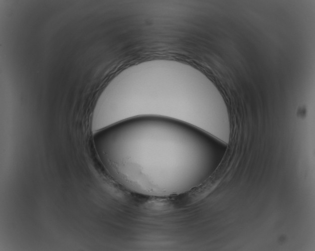 X0000096630280200802050941