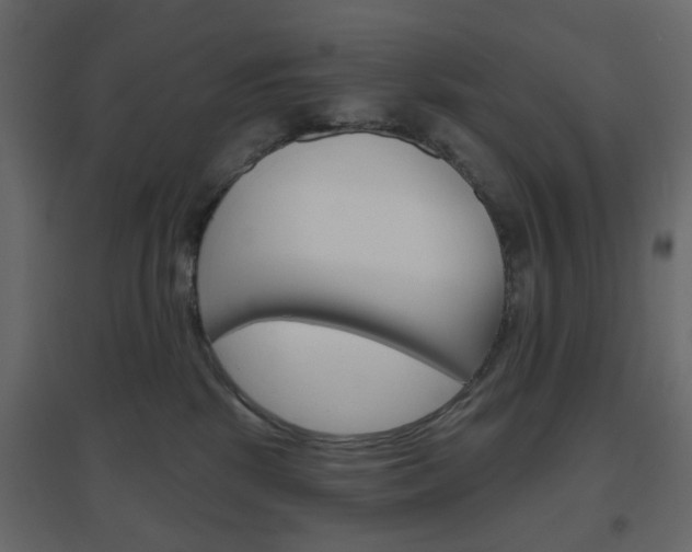 X0000096630281200802050941